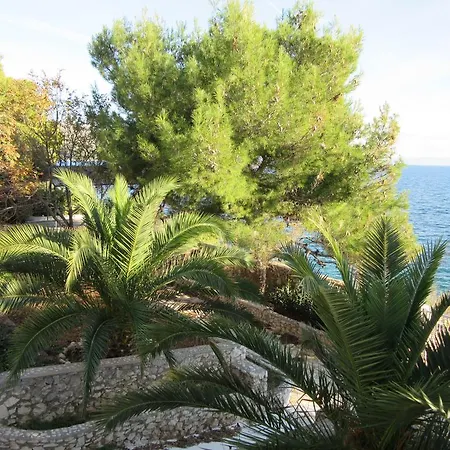 Alexa Trogir